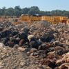 Αφθώδης πυρετός: Ο Περιφερειάρχης Βορείου Αιγαίου υπερασπίζεται την παύση ιχνηλάτησης και θανατώσεων, «συνεχίζουμε κανονικά» απαντά το υπουργείο