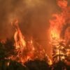 Φωτιά σε αγροτοδασική έκταση στο Βελεστίνο Μαγνησίας