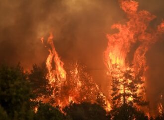 Υπό μερικό έλεγχο οι πυρκαγιές σε Αλυκές Βόλου και Κάρπαθο