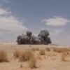Το ελληνικό ΥΠΕΞ καταδικάζει τις επιθέσεις των Χούθι στη Σαουδική Αραβία