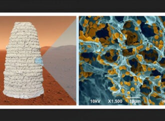 3D εκτύπωση στον Άρη: Κατασκευή οικισμών με αρειανό χώμα, ζελατίνη και μαγιά