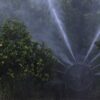 Σχεδόν ένας στους δύο αγρότες δηλητηριάζεται από φυτοφάρμακα, σύμφωνα με στοιχεία