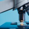Μαγείρεμα και θρεπτικά συστατικά: τι χάνεται και τι όχι