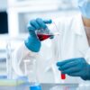 Όσπρια: γιατί επανέρχονται στο επίκεντρο της διατροφολογίας