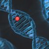 CRISPR: πώς λειτουργεί η γονιδιακή επεξεργασία