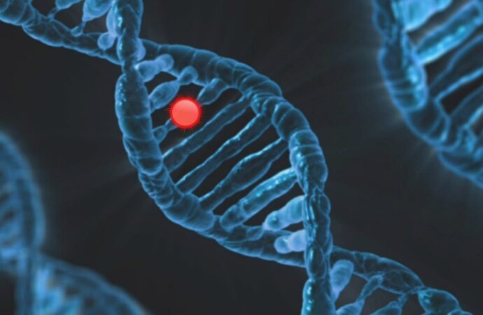 CRISPR: πώς λειτουργεί η γονιδιακή επεξεργασία