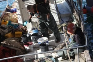 Αλιεία: Διπλασιάζεται η επιδότηση πετρελαίου έως 32 λεπτά το λίτρο