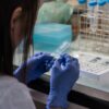 Νεάντερταλ: τι αποκαλύπτει το DNA για τη σχέση μας