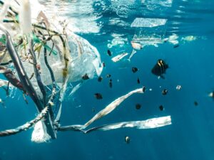 Νέα στοιχεία δείχνουν πώς τα μικροπλαστικά μπορούν να βλάψουν ανθρώπους και ζώα