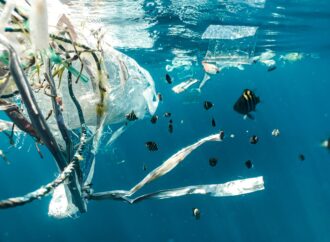 Νέα στοιχεία δείχνουν πώς τα μικροπλαστικά μπορούν να βλάψουν ανθρώπους και ζώα
